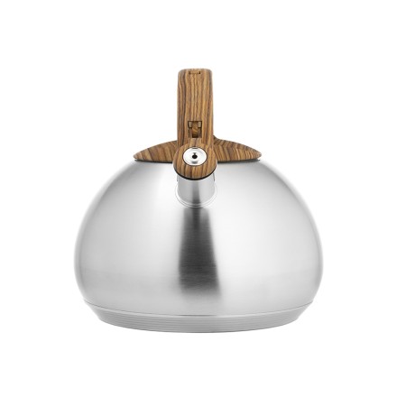 чайник lara lr00-78 4.5л