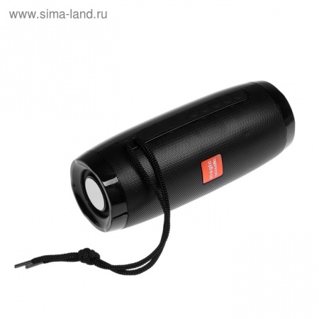 портативная колонка sk1012bk черный