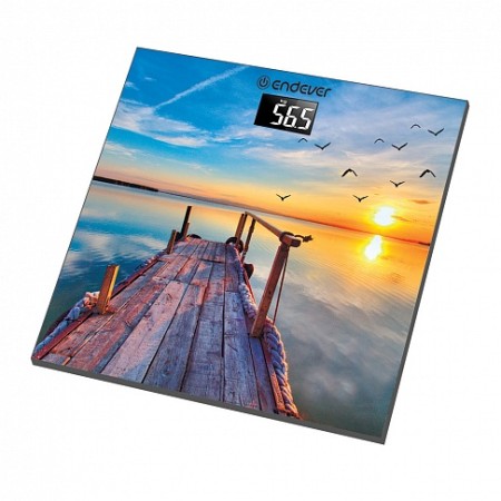 весы endever aurora-552