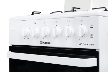 газоэлектрическая плита hansa fcmw 530031a