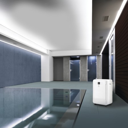 осушитель воздуха electrolux edh-65l home pro