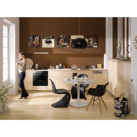 духовой шкаф hansa boes 683020 x-type