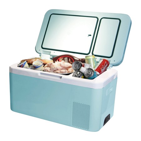 холодильник бирюса нс-24g2 (мобильный)