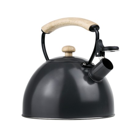 чайник lara lr00-92 2.5л