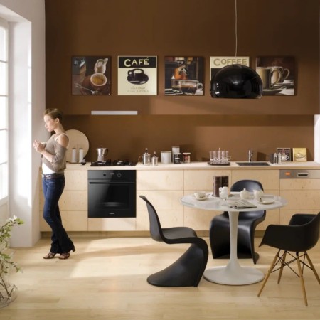 духовой шкаф hansa boes 68433 fusion ii