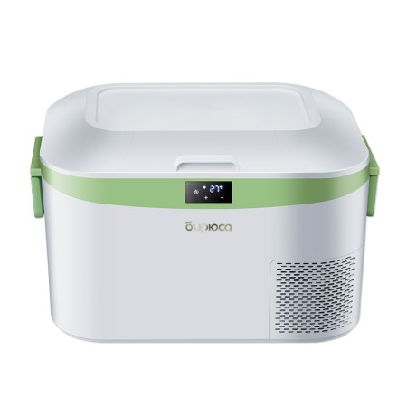 холодильник бирюса нс-12p1 (мобильный)