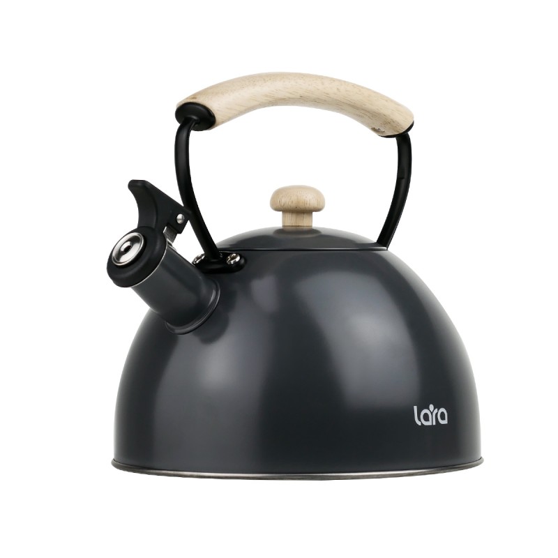 Чайник Lara LR00-92 2.5л