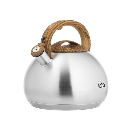 чайник lara lr00-78 4.5л